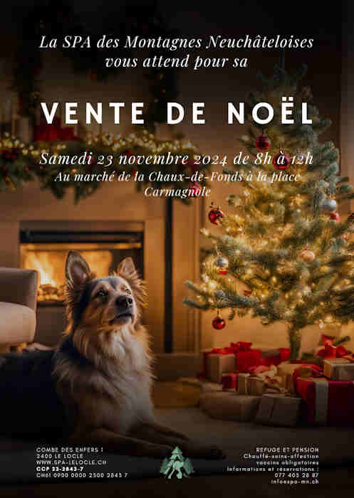 vente noel2024