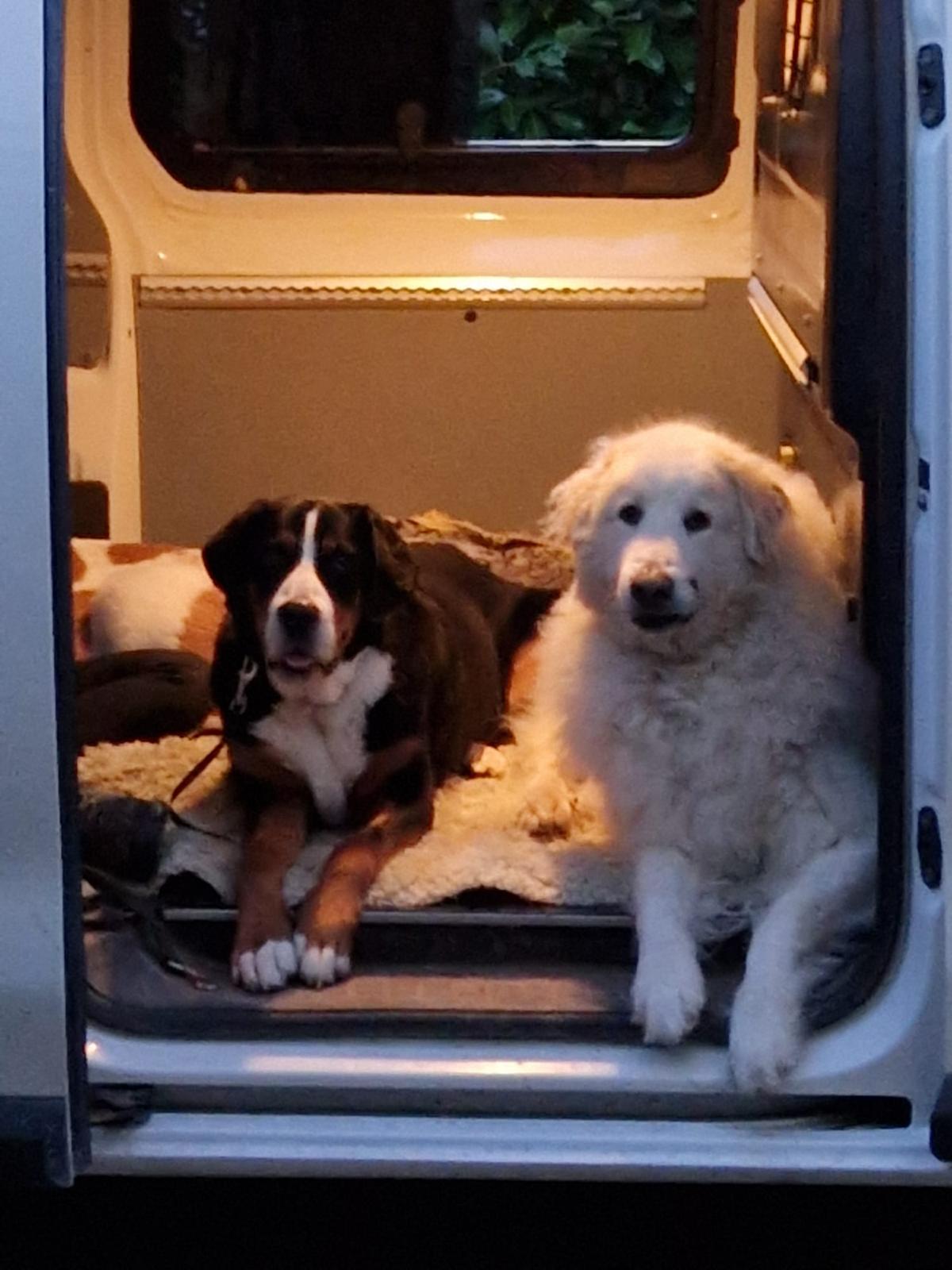 Lenny & Norka