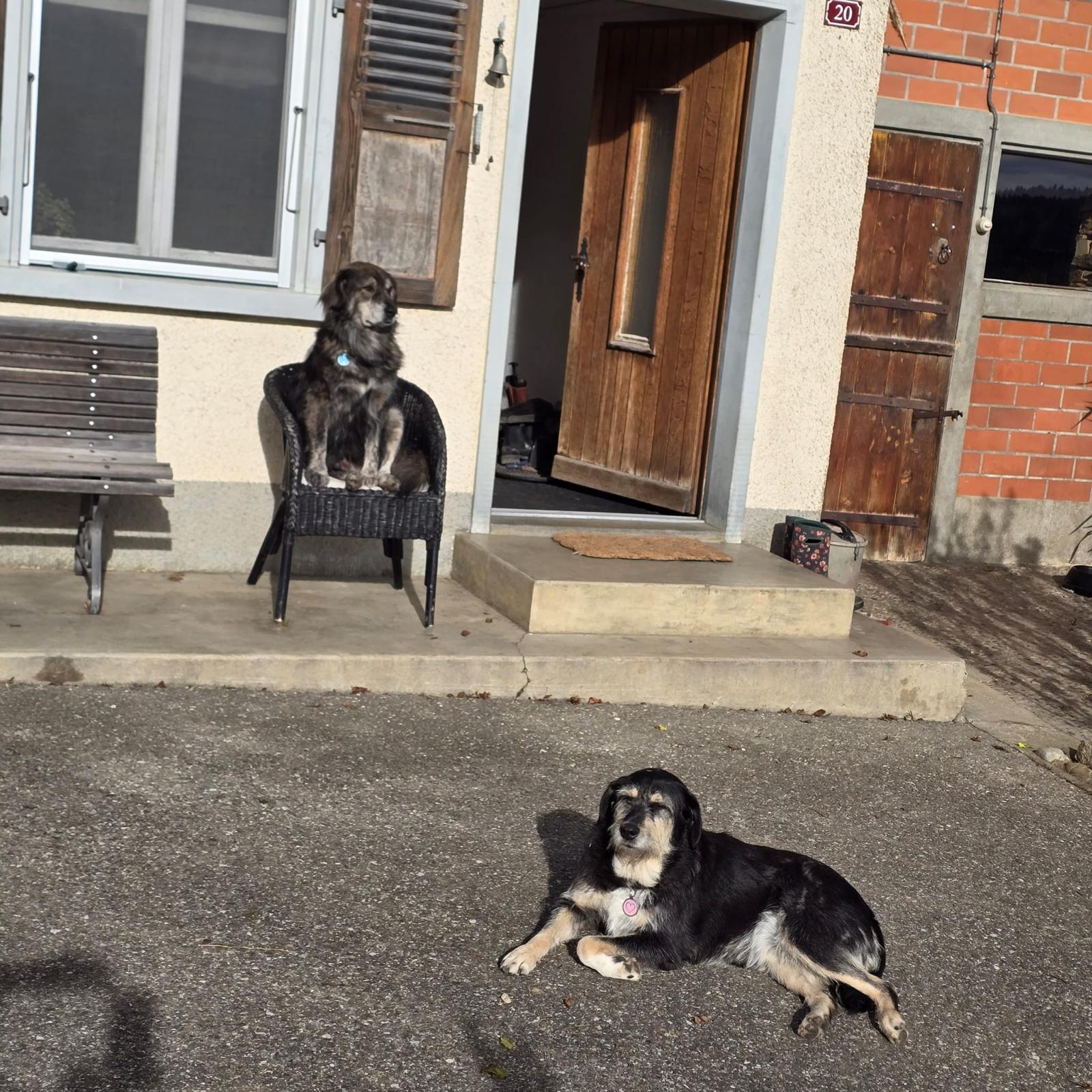 Marley & Bonnie